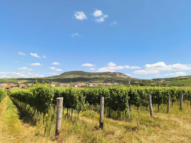 Apartmány Purmice, Goldhamer, Bergrus a Železná