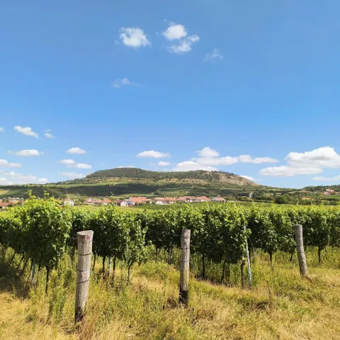 Apartmány Purmice, Goldhamer, Bergrus a Železná
