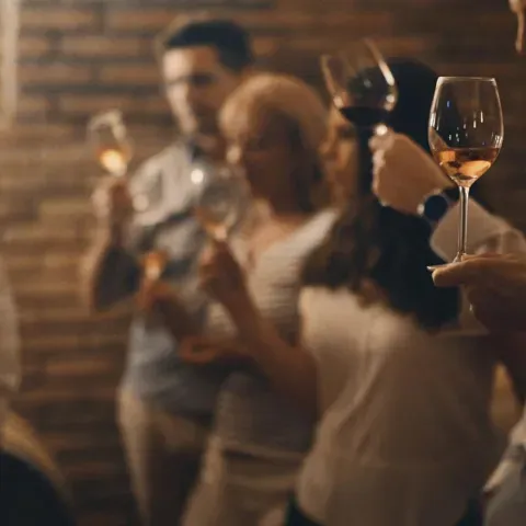 Zažijte kouzlo Pálavy! Vinné sklepy s ubytováním na jižní Moravě.