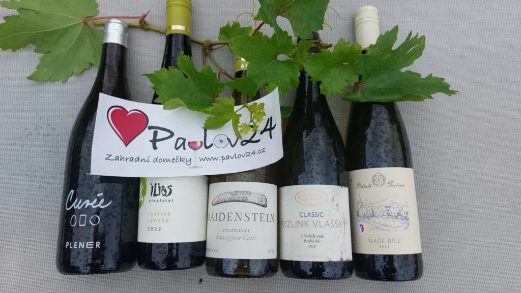 11. 08. – Procházka vinicemi Pavlova s degustací vín